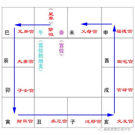 命主属性|紫微斗數講堂——什么是“命主”